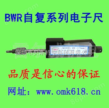 BWR微型自复位电子尺