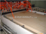 青岛鲁奥专业木塑门板设备