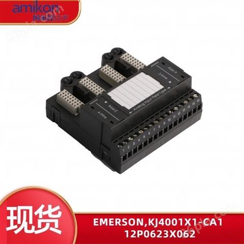DSC系统KJ3241X1-BA1 Emerson输入输出模块