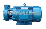 1W-2.4-10.5W型单级直连式漩涡泵