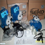 深圳加药装置电镀加药泵 DC4500 深圳SEKO赛高计量泵总代理